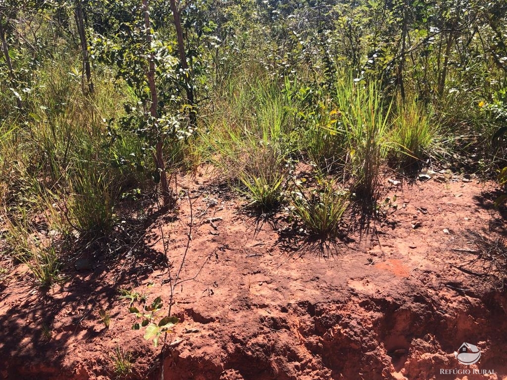 Fazenda à venda com 1 quarto, 96800000m² - Foto 17