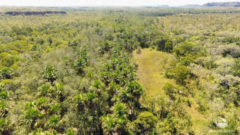 Fazenda à venda com 1 quarto, 96800000m² - Foto 11