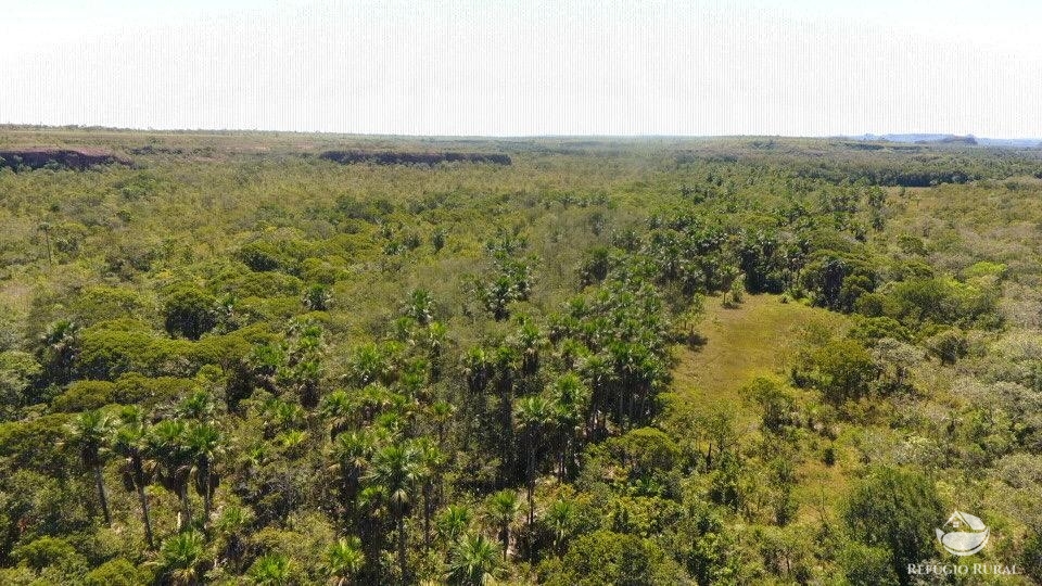 Fazenda à venda com 1 quarto, 96800000m² - Foto 5