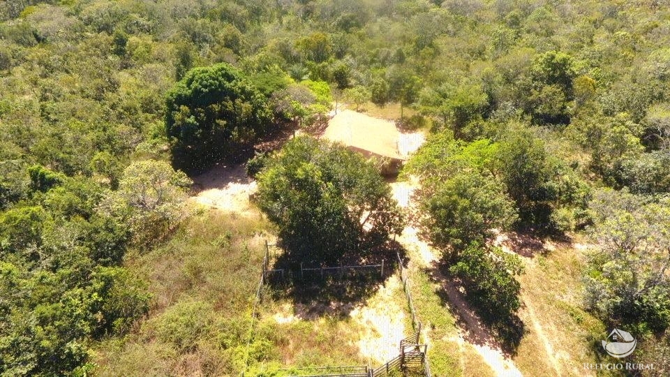 Fazenda à venda com 1 quarto, 96800000m² - Foto 16