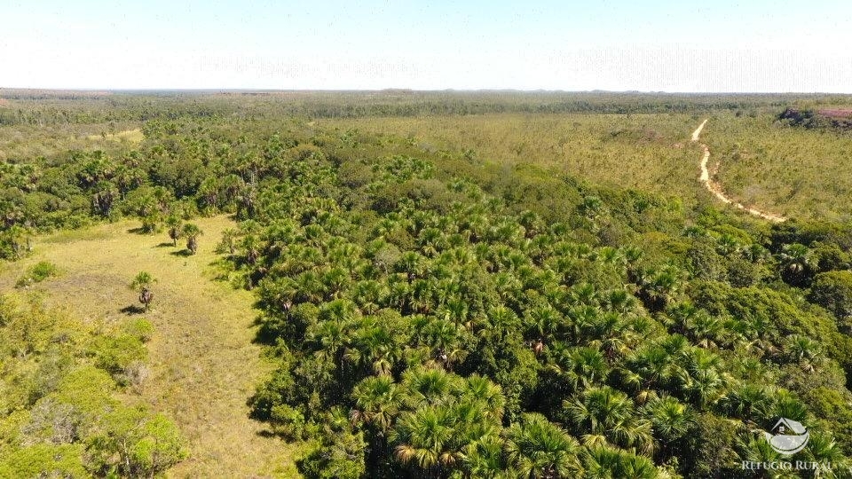 Fazenda à venda com 1 quarto, 96800000m² - Foto 19