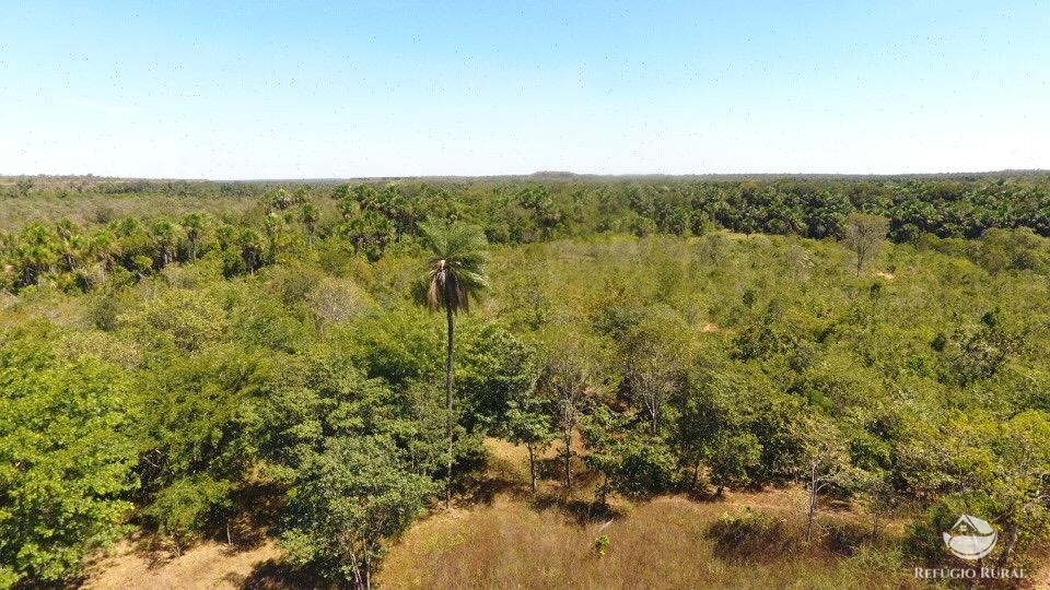 Fazenda à venda com 1 quarto, 96800000m² - Foto 9