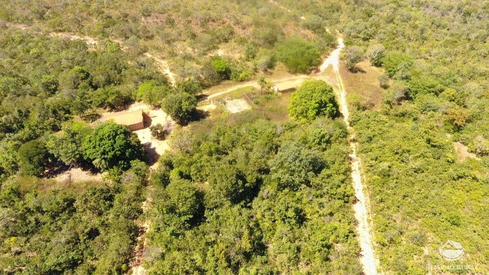 Fazenda à venda com 1 quarto, 96800000m² - Foto 18