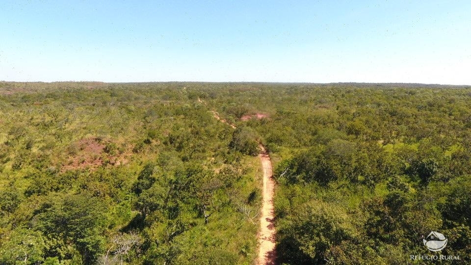 Fazenda à venda com 1 quarto, 96800000m² - Foto 7