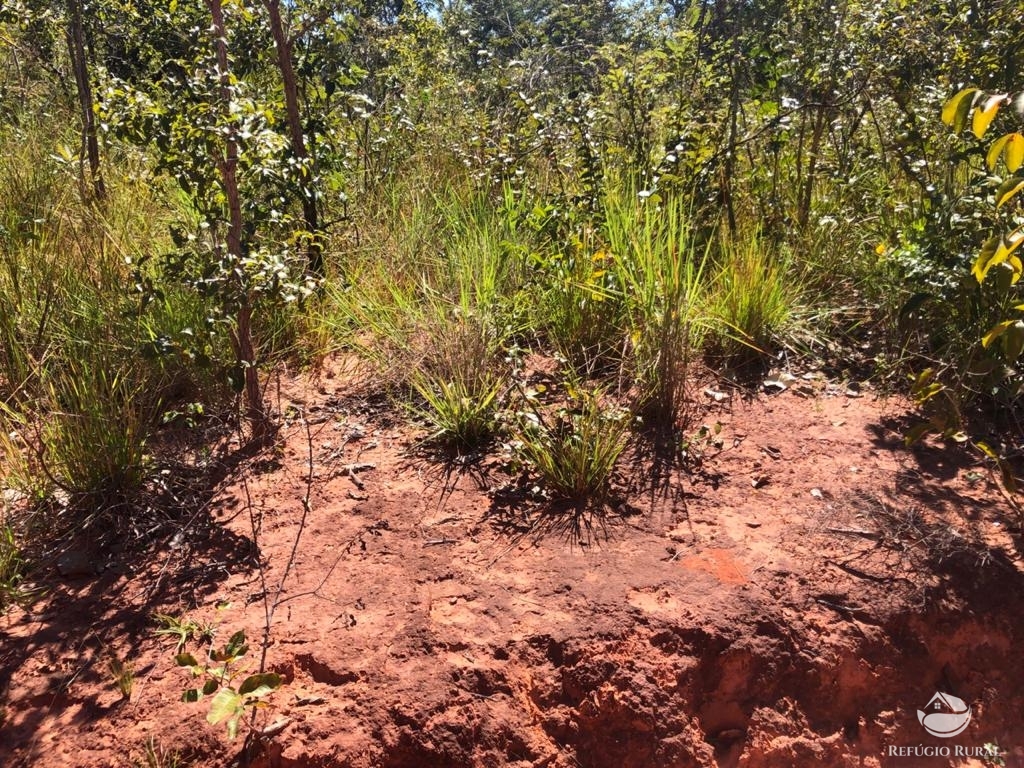 Fazenda à venda com 1 quarto, 96800000m² - Foto 10