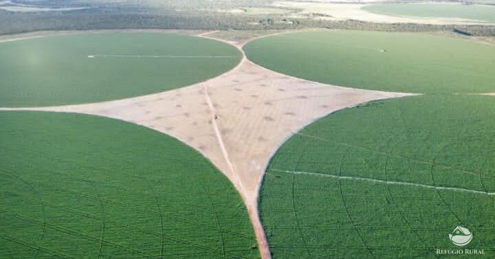 Fazenda à venda com 1 quarto, 9570000m² - Foto 3