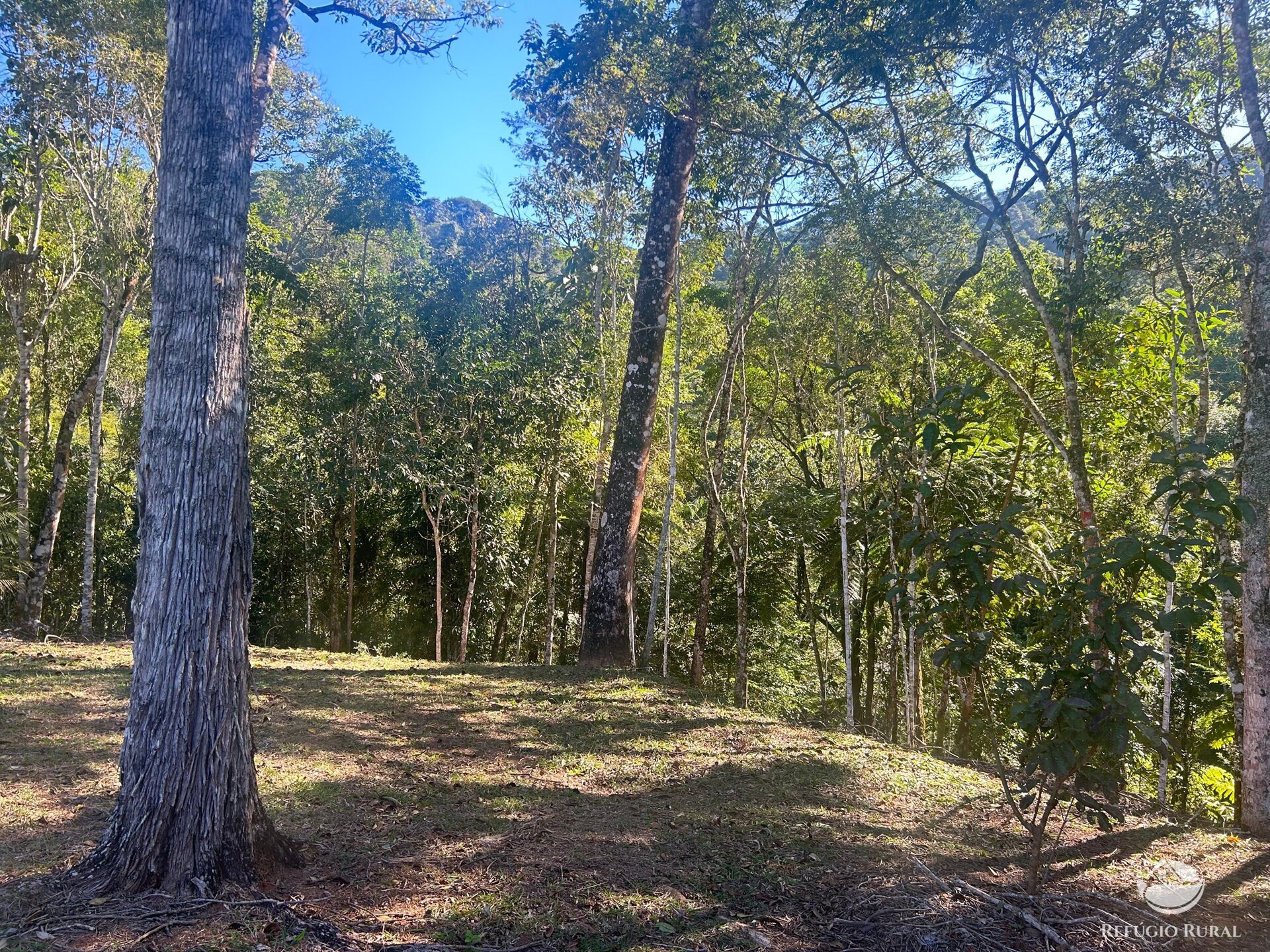 Sítio à venda com 2 quartos, 60500m² - Foto 14