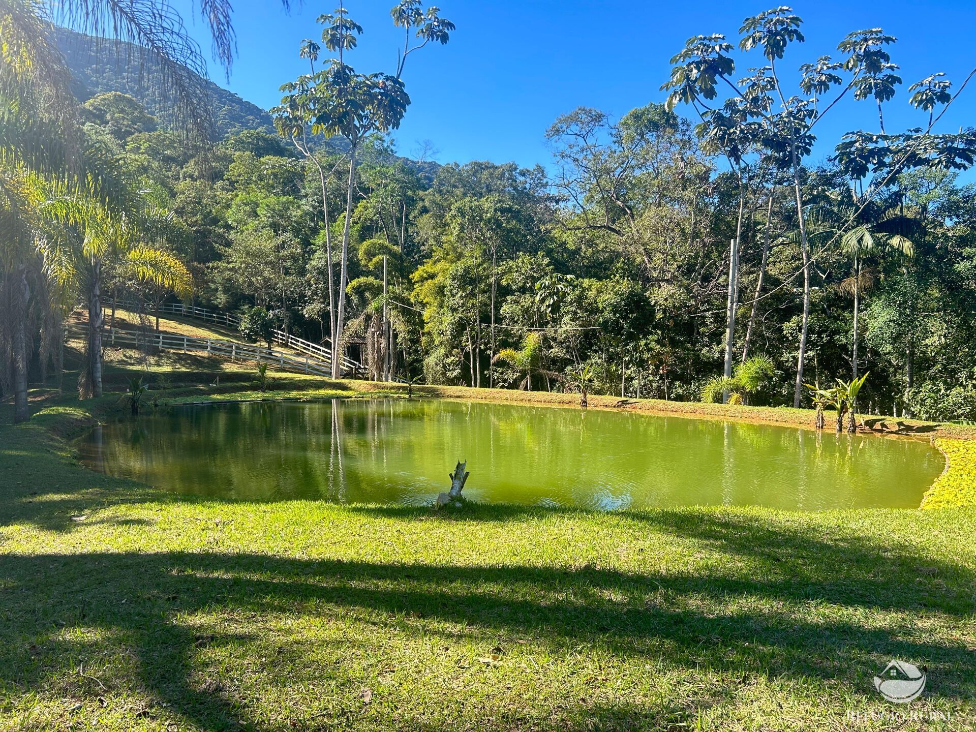 Sítio à venda com 2 quartos, 60500m² - Foto 5