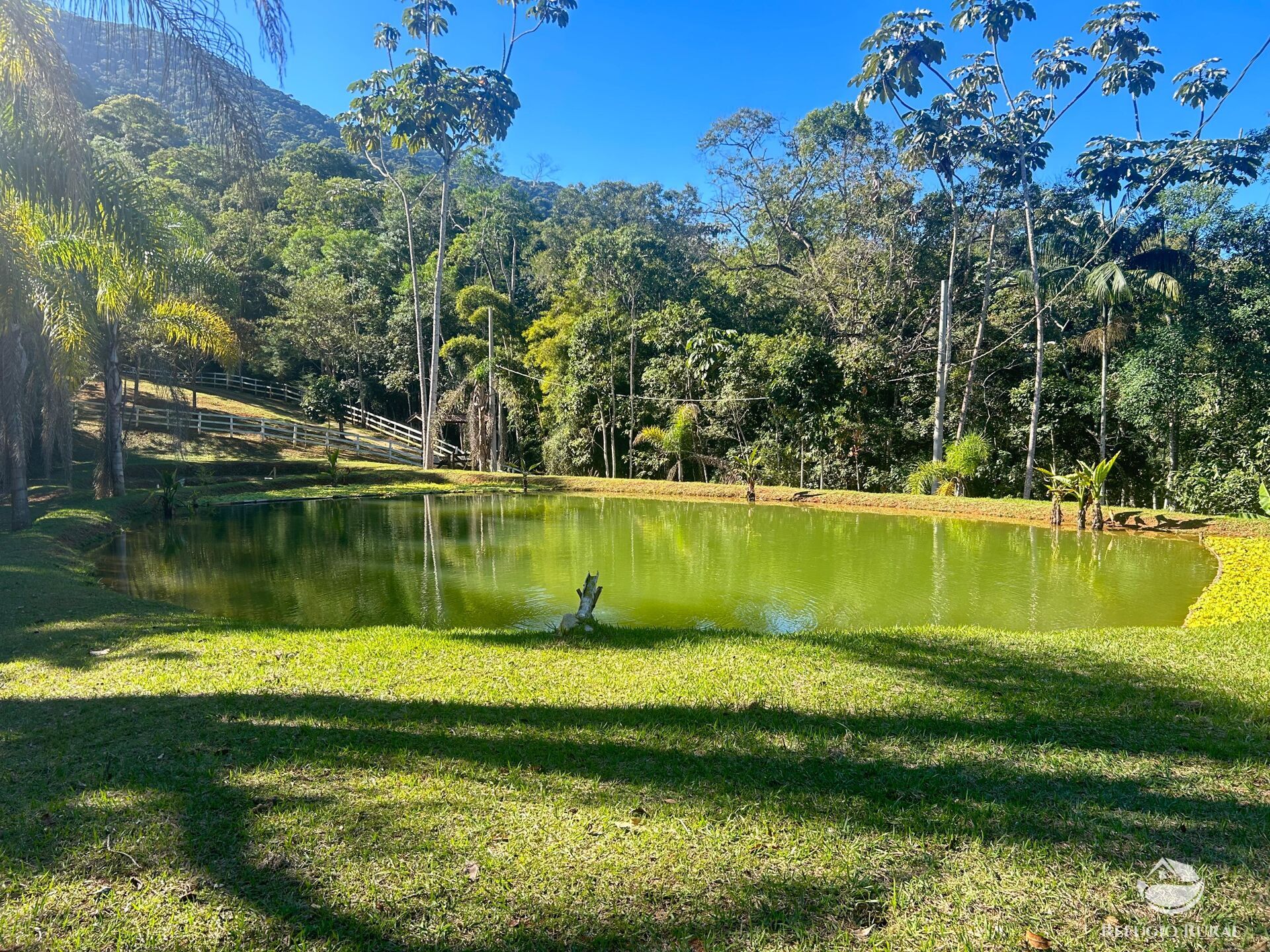 Sítio à venda com 2 quartos, 60500m² - Foto 29