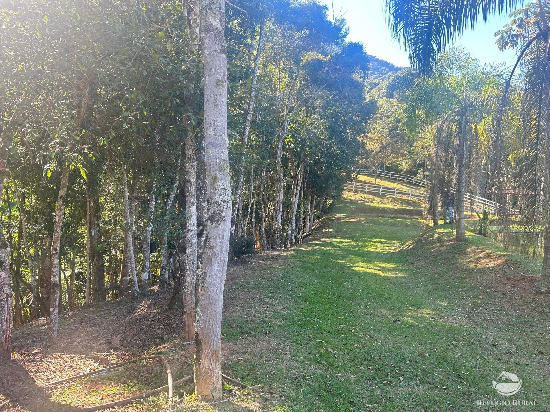 Sítio à venda com 2 quartos, 60500m² - Foto 13