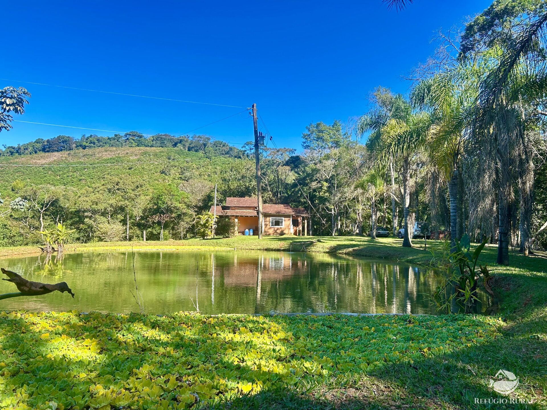 Sítio à venda com 2 quartos, 60500m² - Foto 4