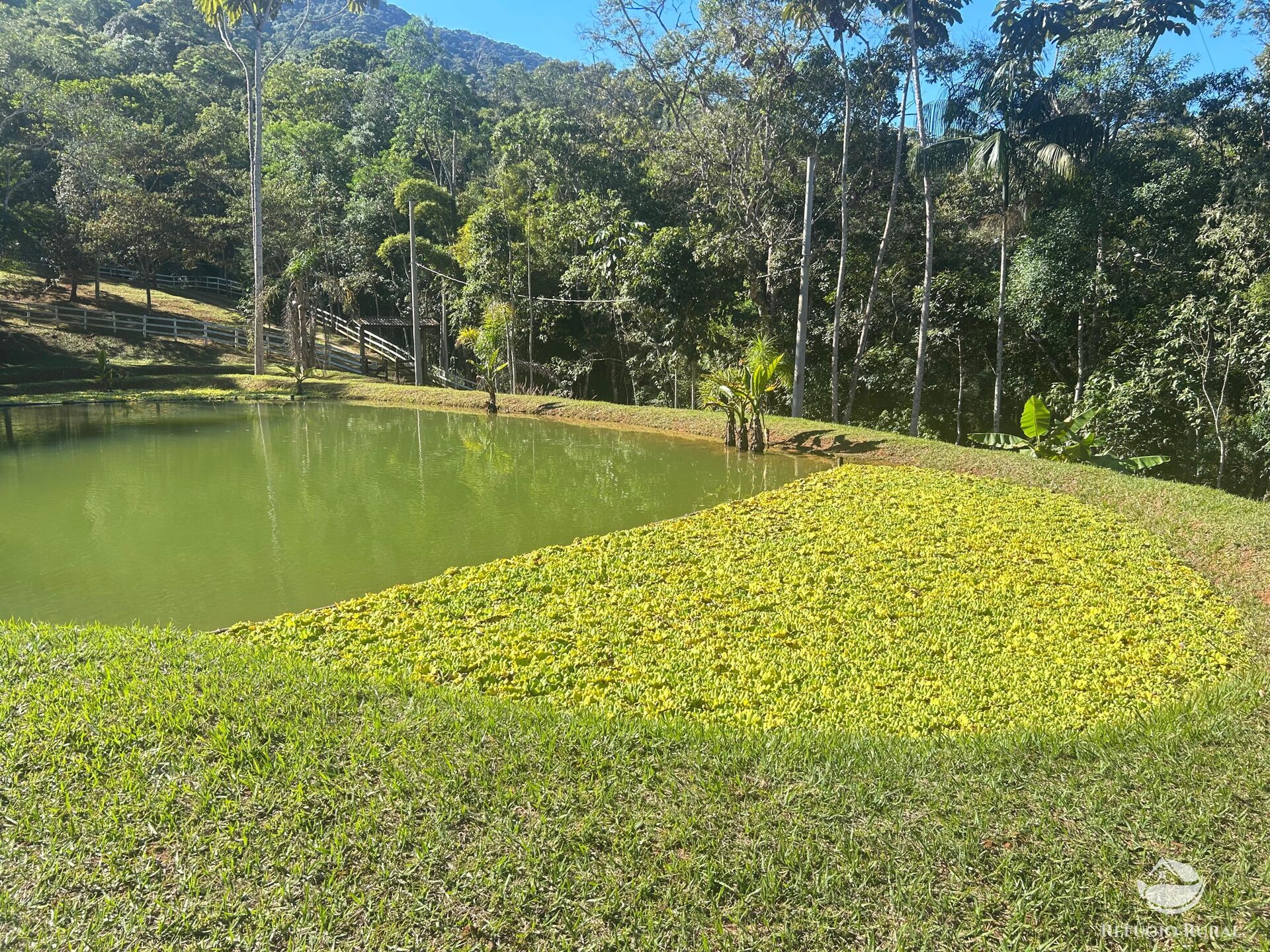 Sítio à venda com 2 quartos, 60500m² - Foto 9