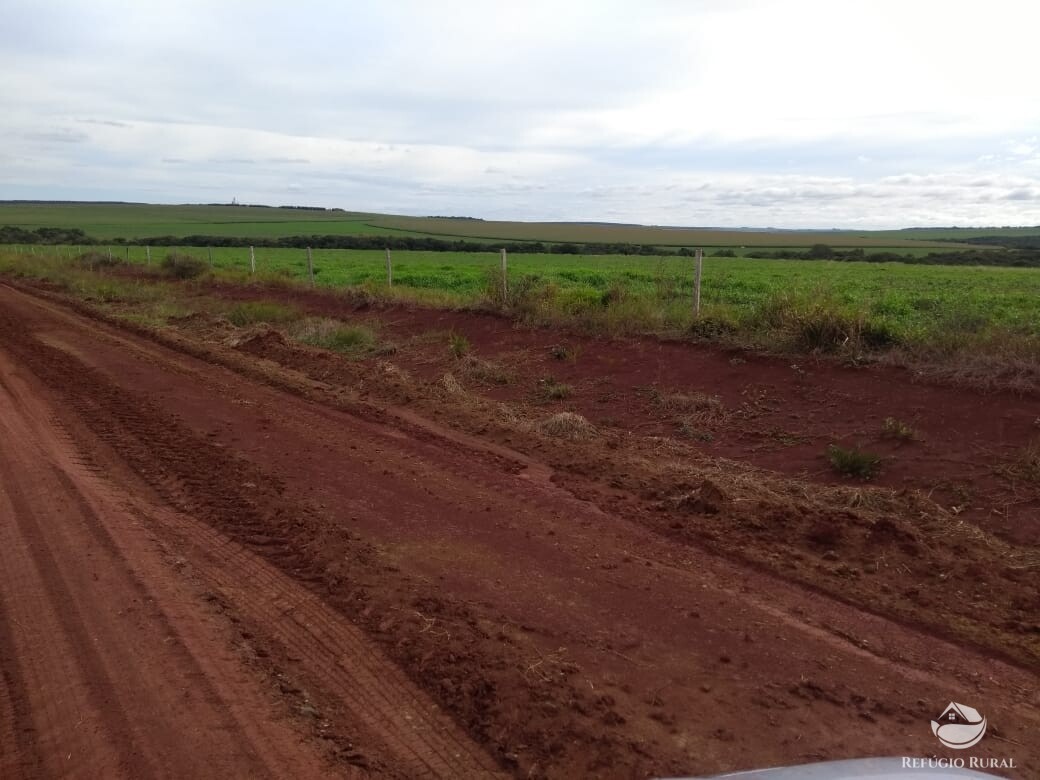 Fazenda à venda com 1 quarto, 20000000m² - Foto 6