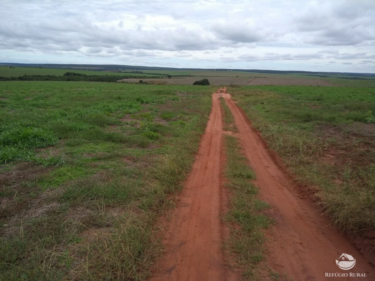 Fazenda à venda com 1 quarto, 20000000m² - Foto 5