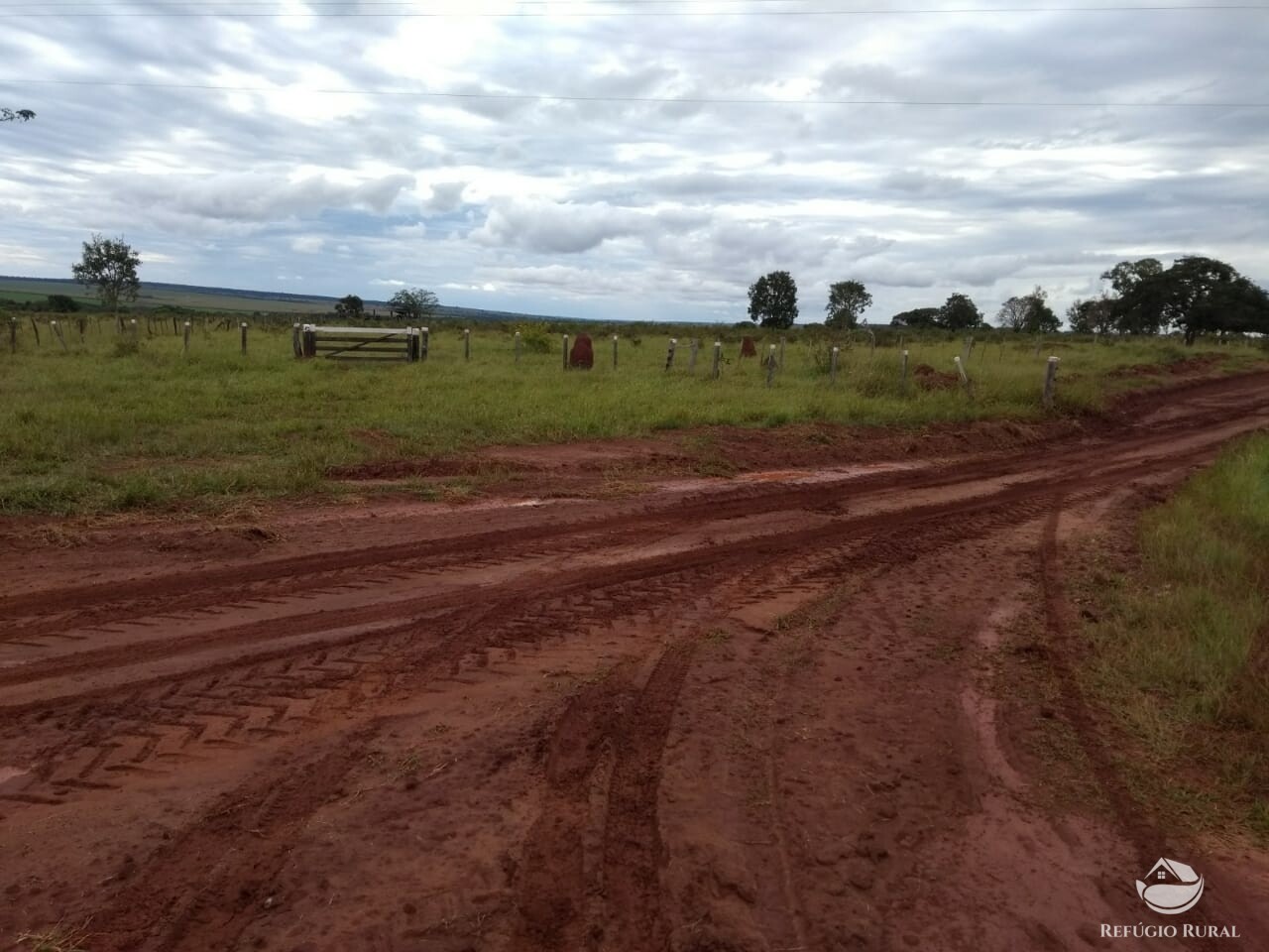 Fazenda à venda com 1 quarto, 20000000m² - Foto 4