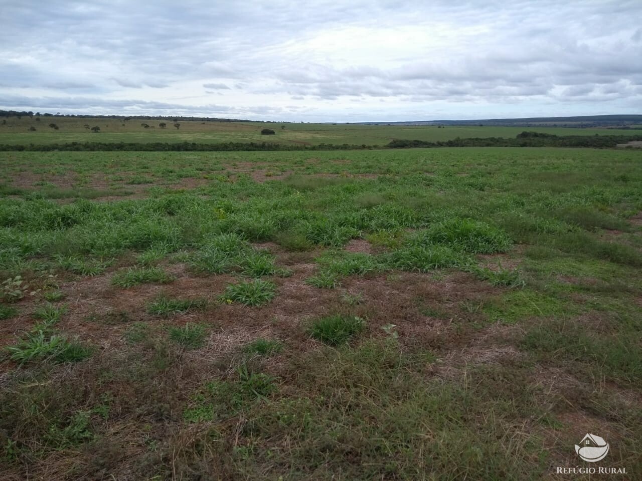 Fazenda à venda com 1 quarto, 20000000m² - Foto 2