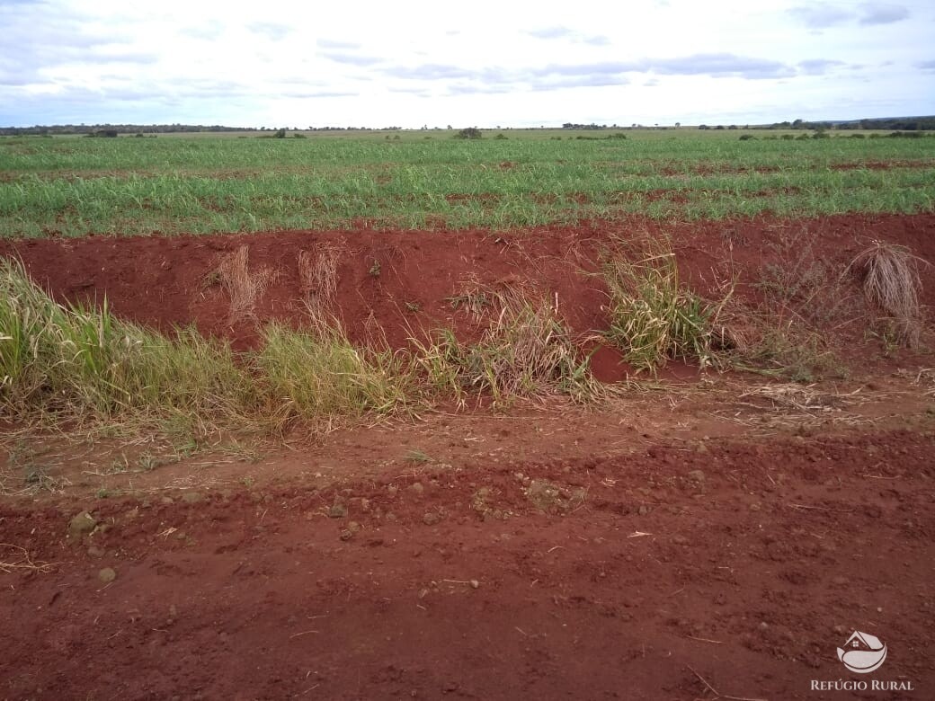 Fazenda à venda com 1 quarto, 20000000m² - Foto 3