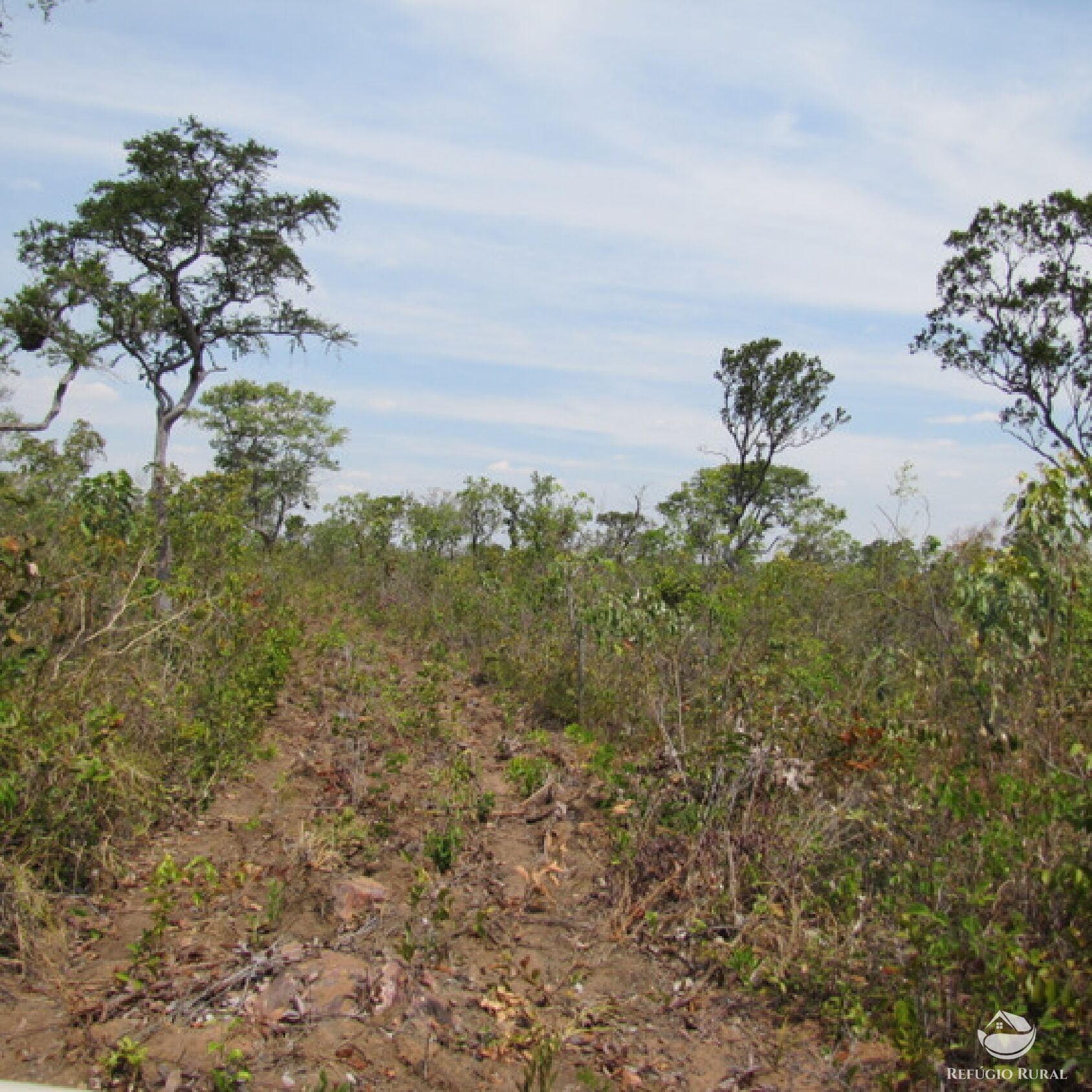 Fazenda à venda com 1 quarto, 60750000m² - Foto 2