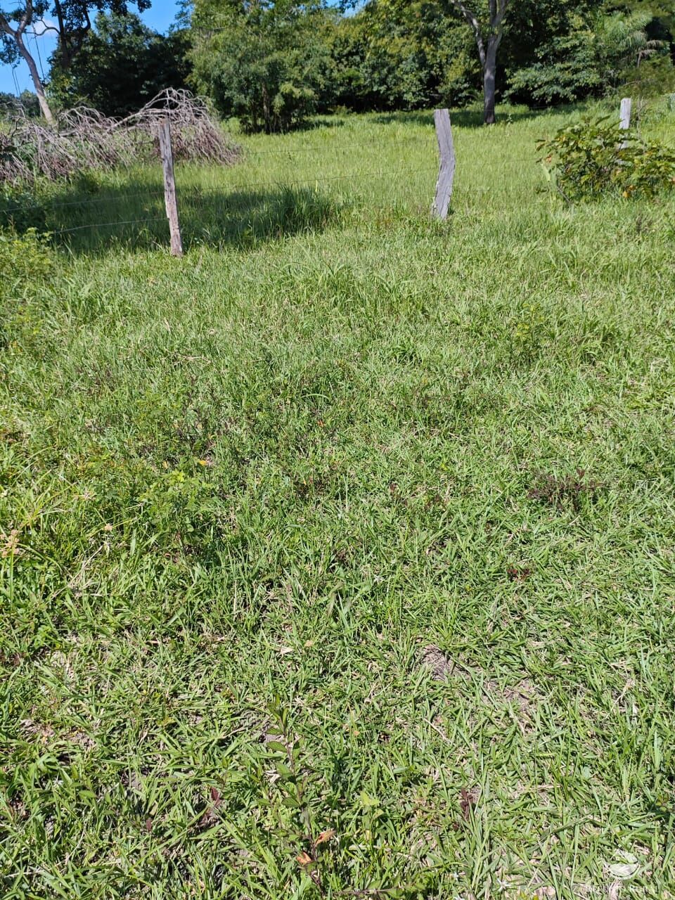 Fazenda à venda com 2 quartos, 9099200m² - Foto 40