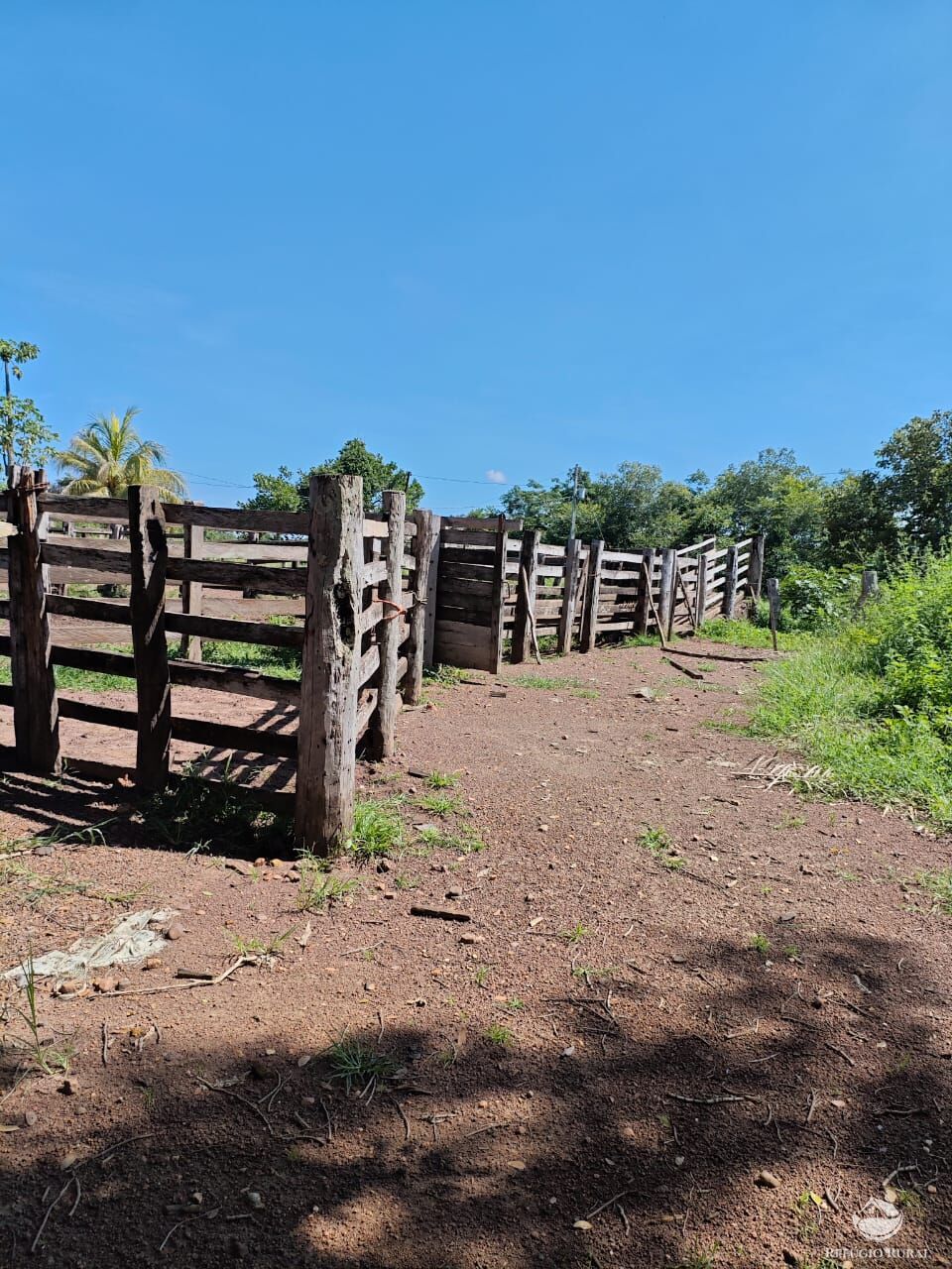 Fazenda à venda com 2 quartos, 9099200m² - Foto 27