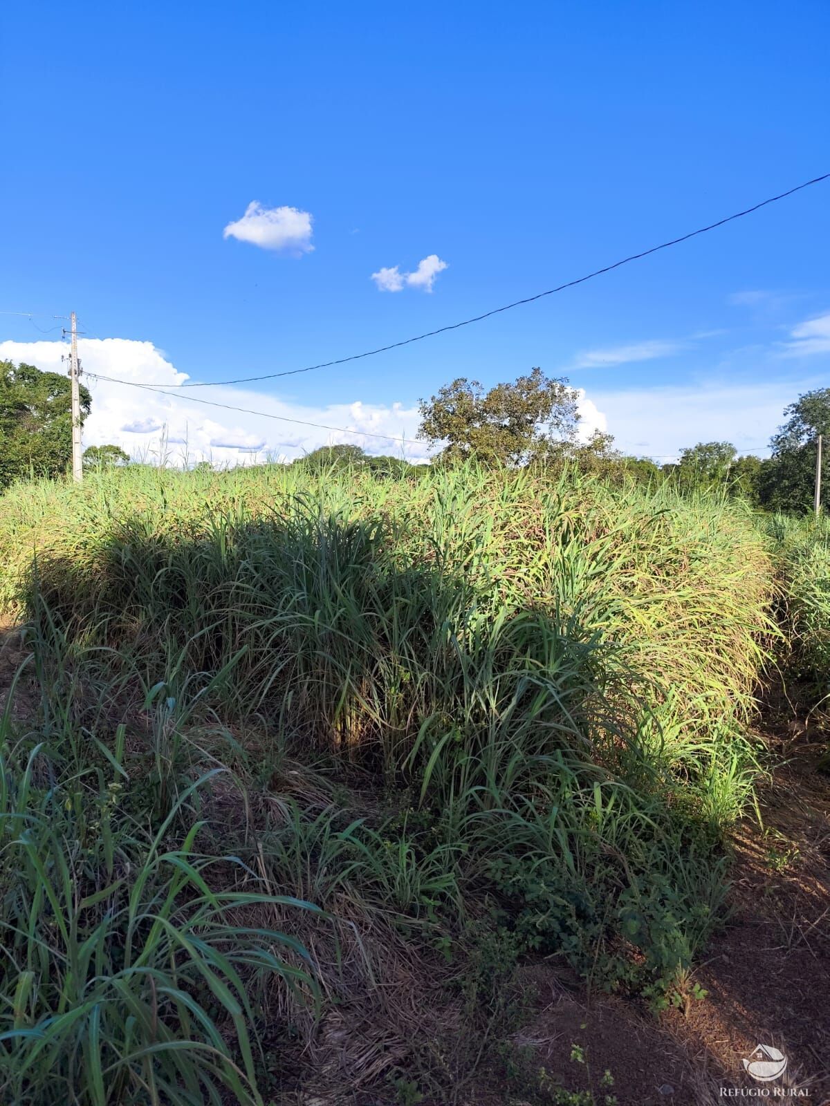 Fazenda à venda com 2 quartos, 9099200m² - Foto 45
