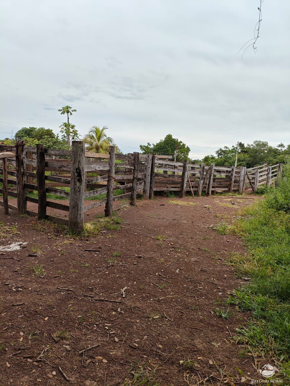 Fazenda à venda com 2 quartos, 9099200m² - Foto 11