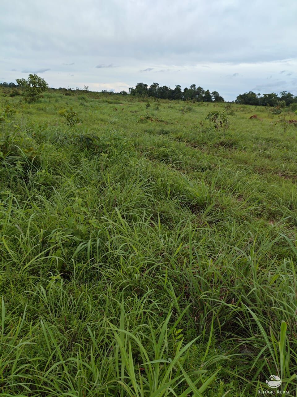 Fazenda à venda com 2 quartos, 9099200m² - Foto 26