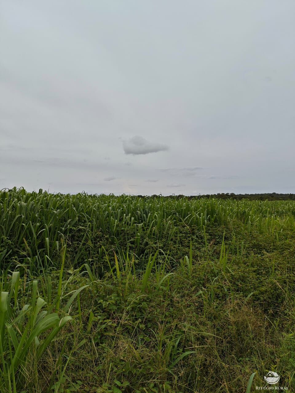 Fazenda à venda com 2 quartos, 9099200m² - Foto 28
