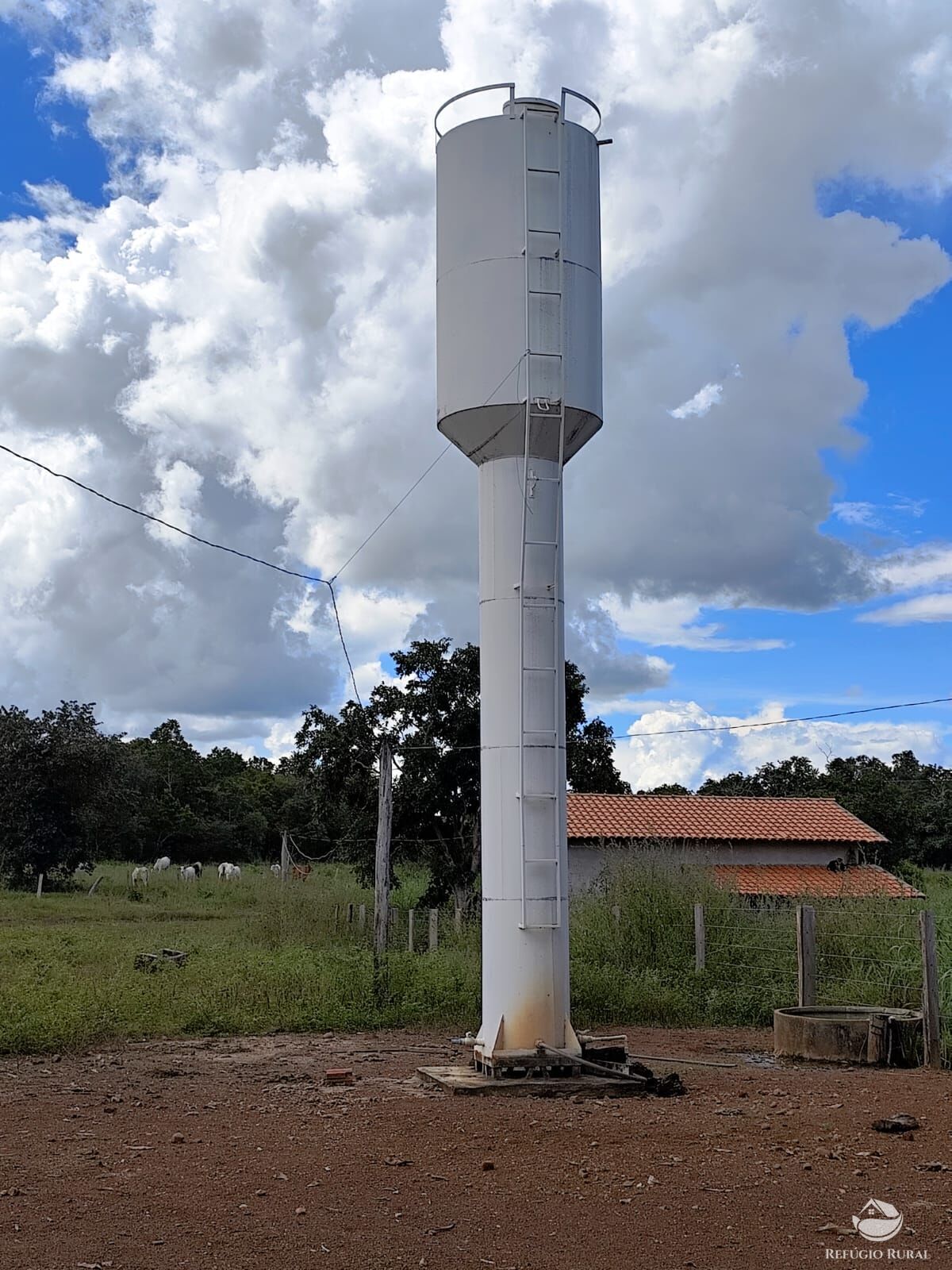 Fazenda à venda com 2 quartos, 9099200m² - Foto 46