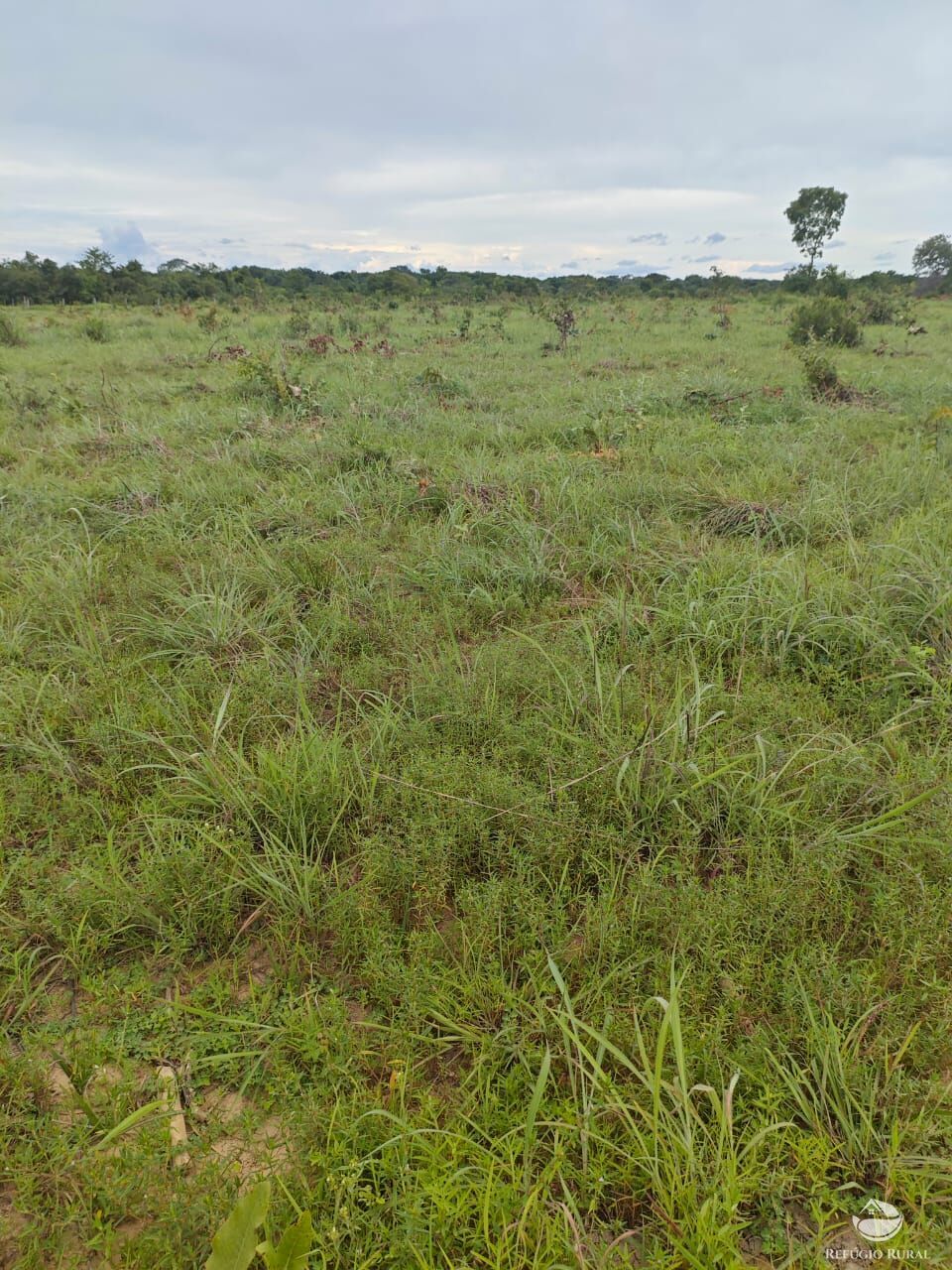 Fazenda à venda com 2 quartos, 9099200m² - Foto 25