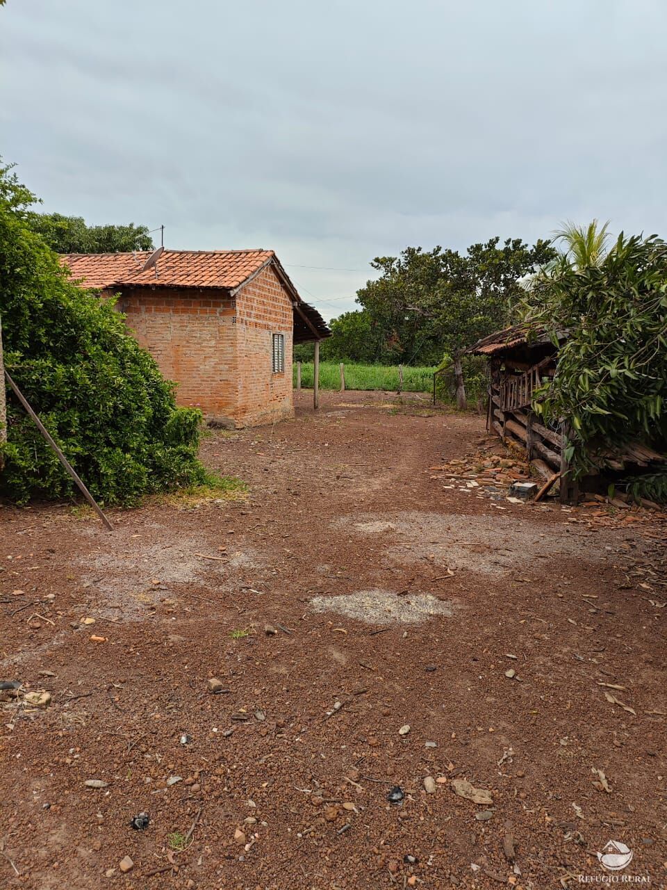 Fazenda à venda com 2 quartos, 9099200m² - Foto 9