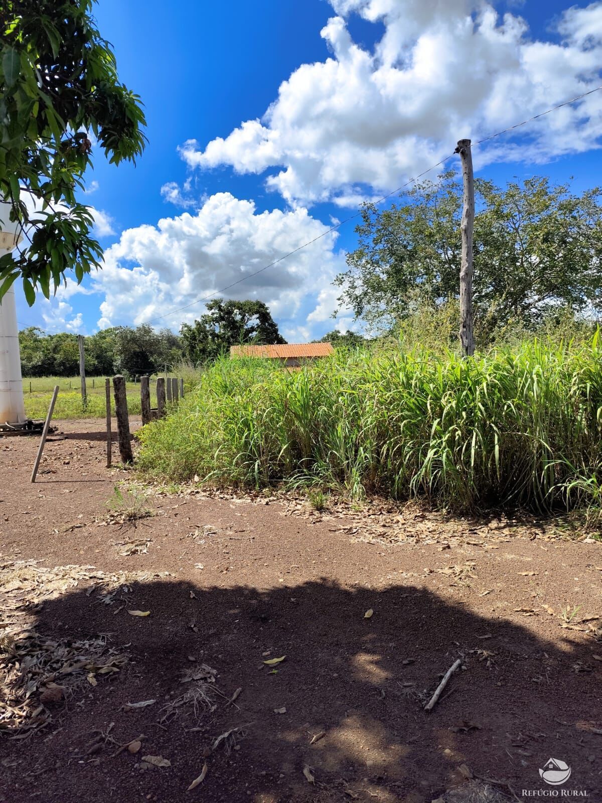 Fazenda à venda com 2 quartos, 9099200m² - Foto 43