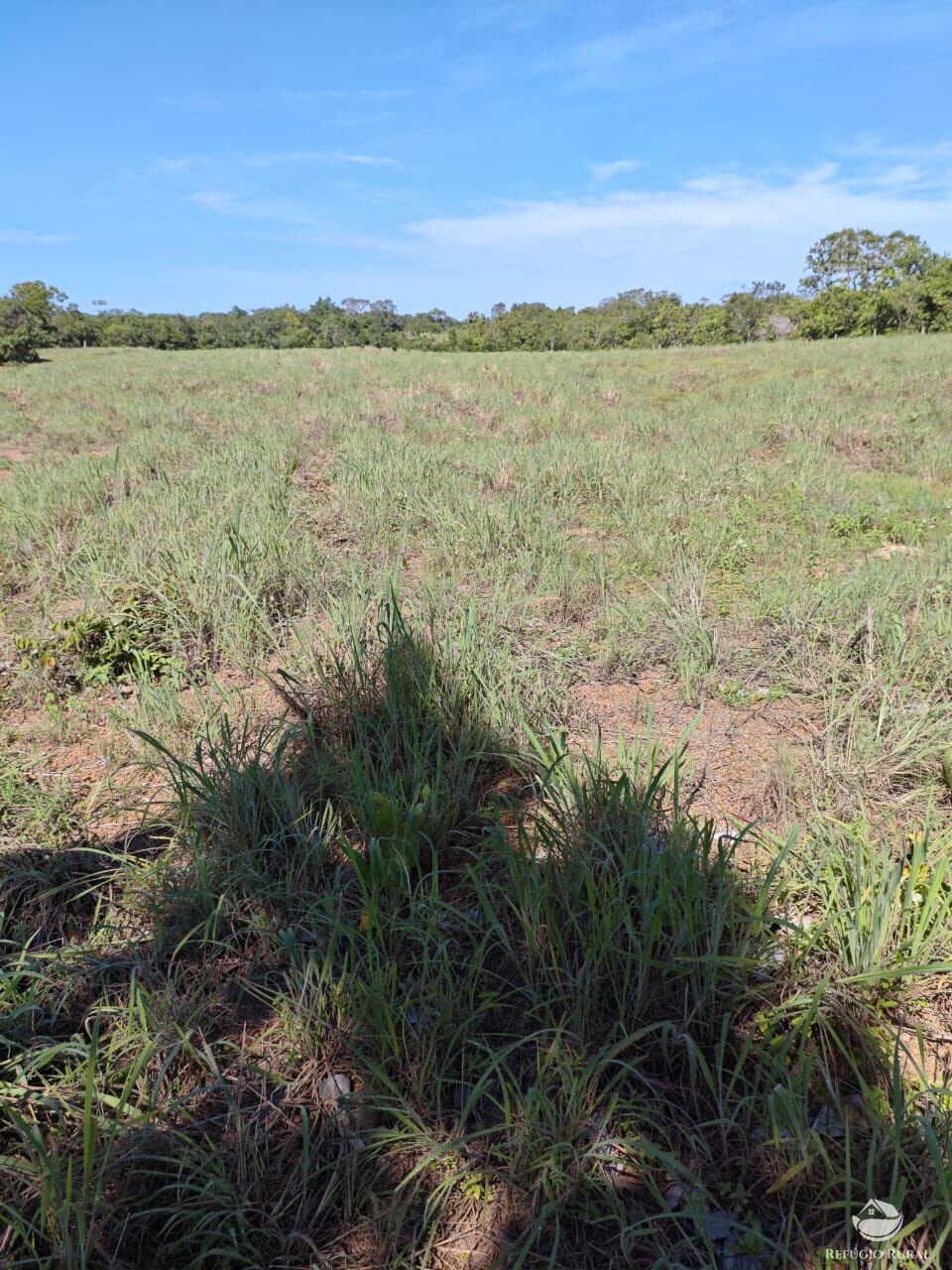 Fazenda à venda com 2 quartos, 9099200m² - Foto 10