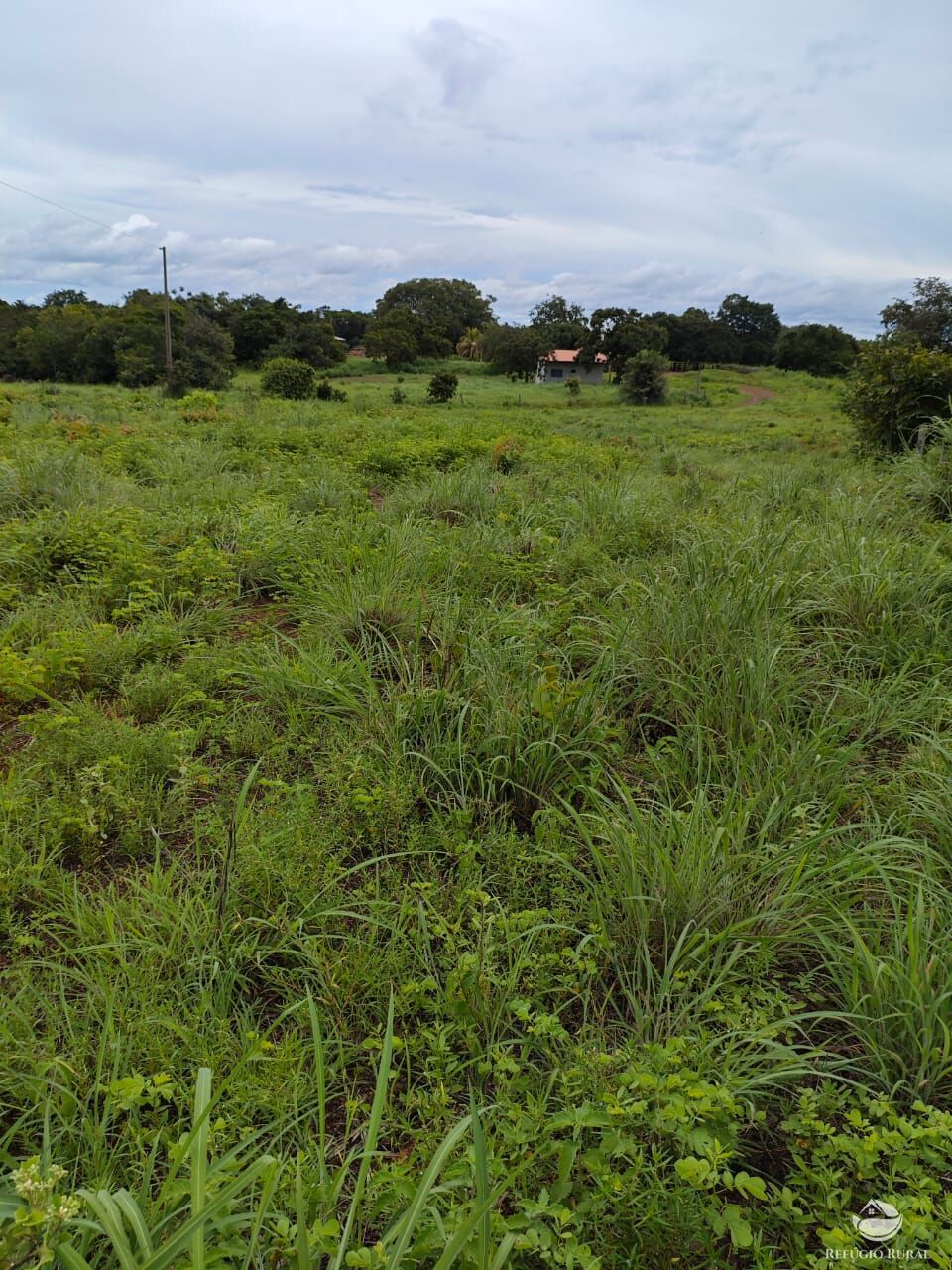 Fazenda à venda com 2 quartos, 9099200m² - Foto 21