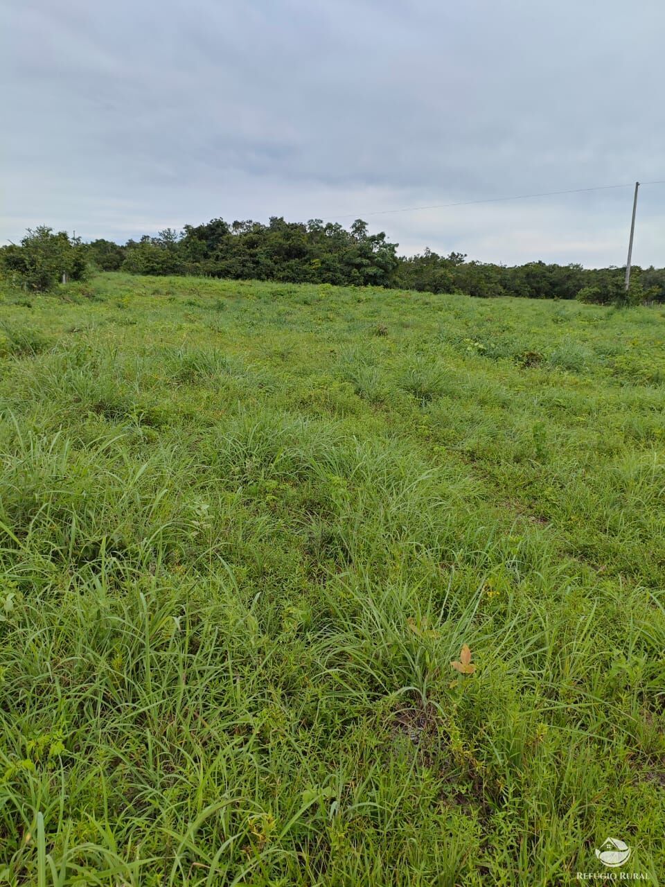 Fazenda à venda com 2 quartos, 9099200m² - Foto 15