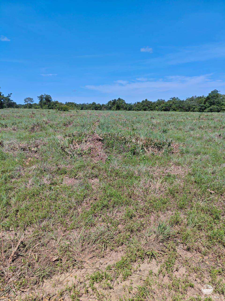 Fazenda à venda com 2 quartos, 9099200m² - Foto 41