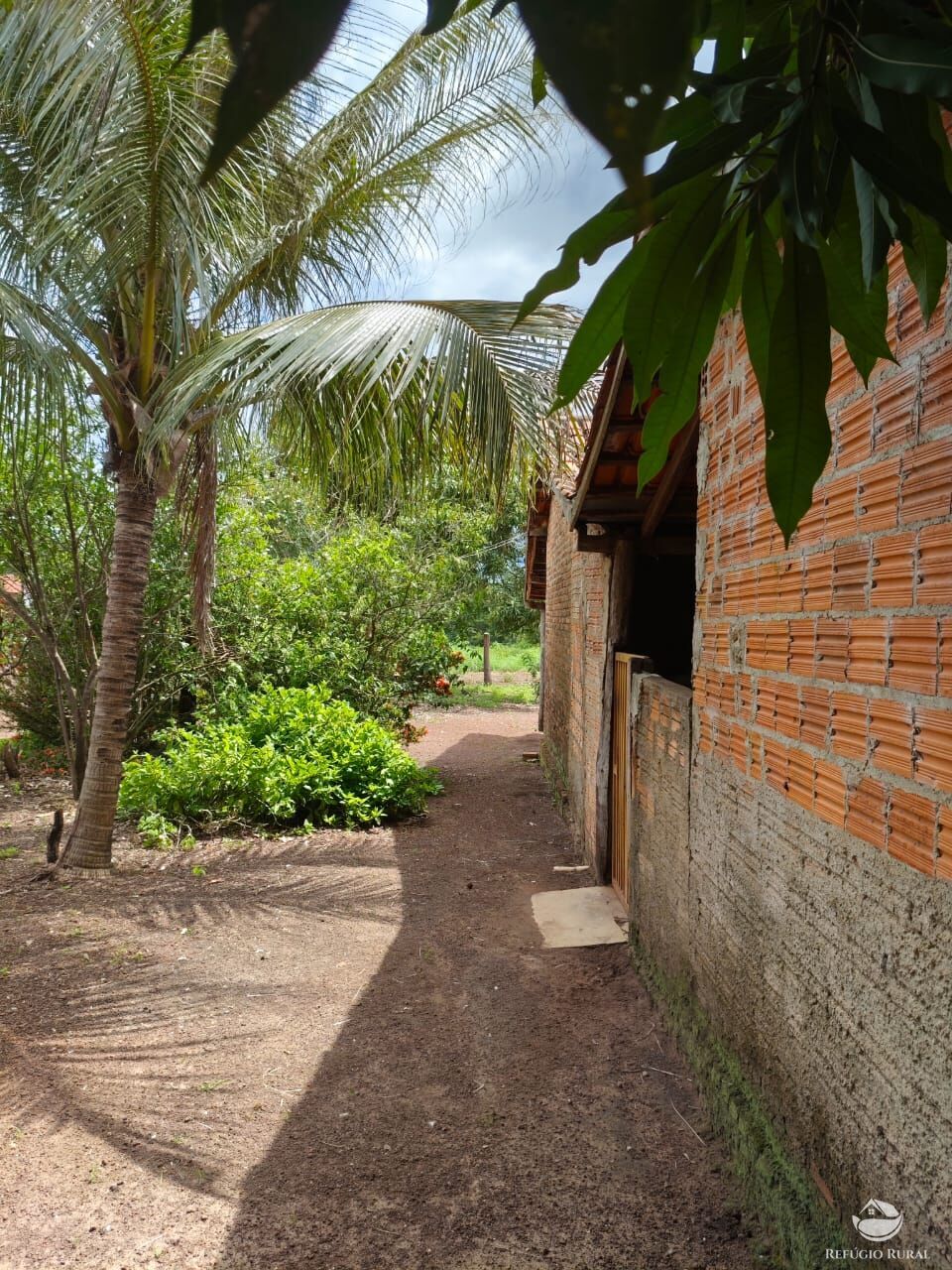 Fazenda à venda com 2 quartos, 9099200m² - Foto 35