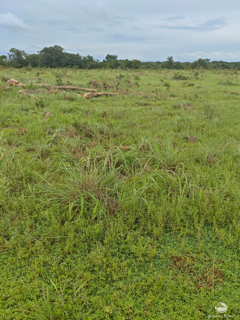 Fazenda à venda com 2 quartos, 9099200m² - Foto 18