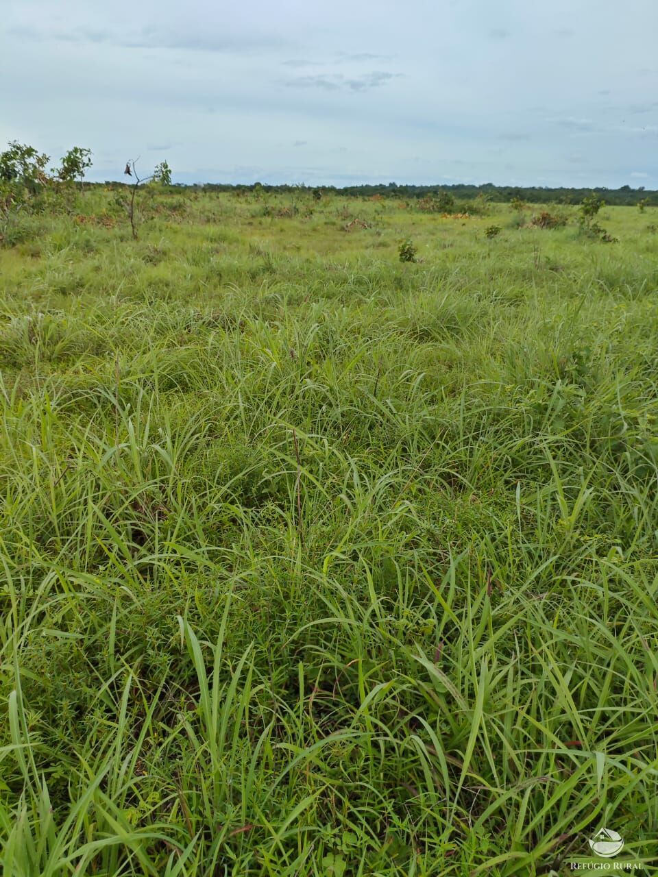 Fazenda à venda com 2 quartos, 9099200m² - Foto 20