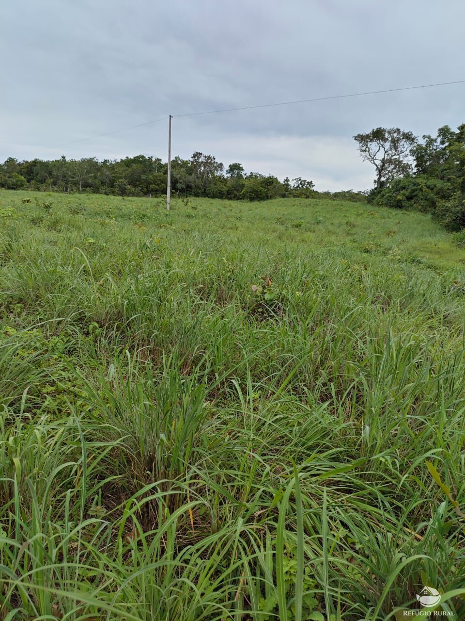 Fazenda à venda com 2 quartos, 9099200m² - Foto 13