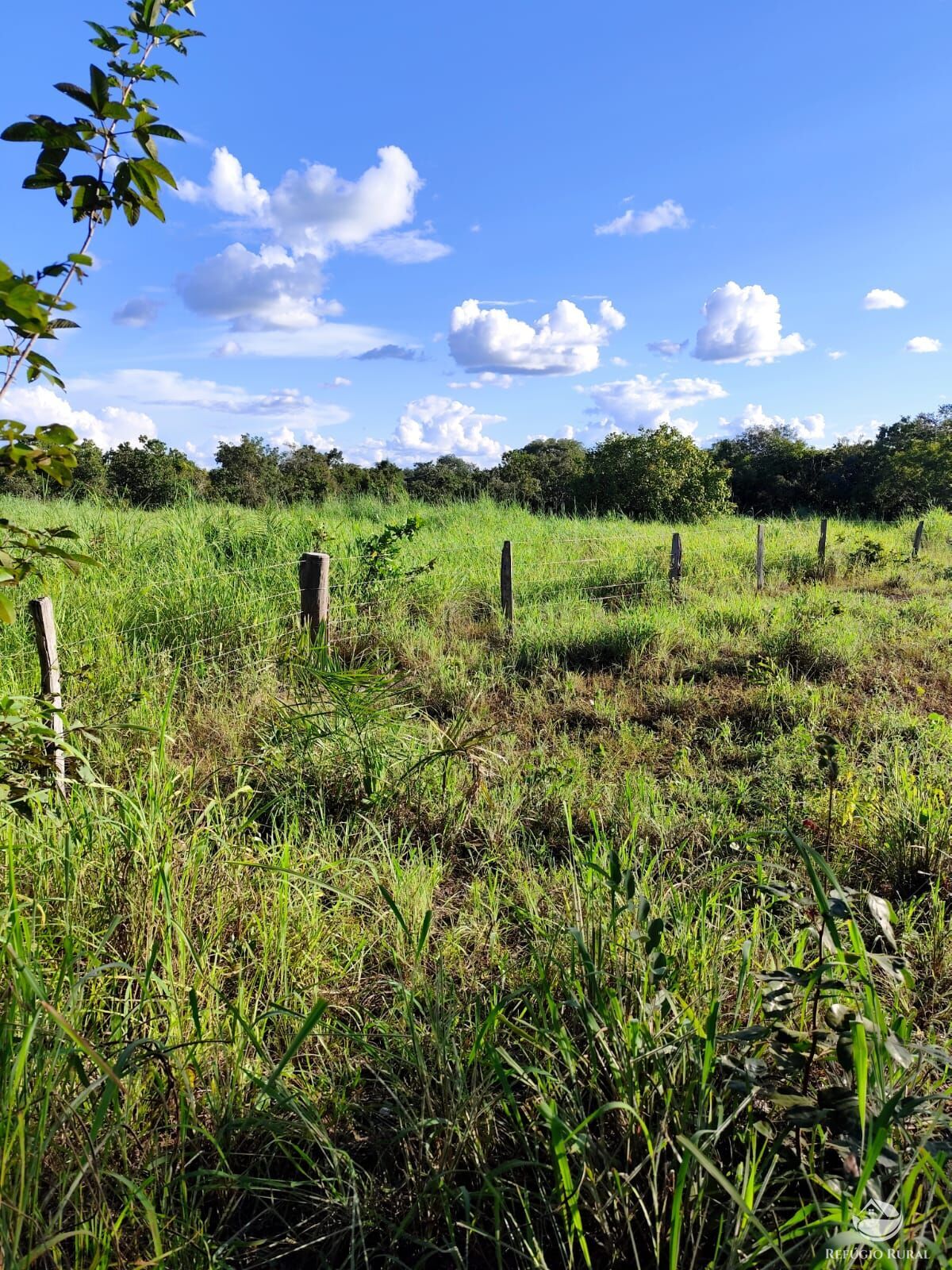 Fazenda à venda com 2 quartos, 9099200m² - Foto 49