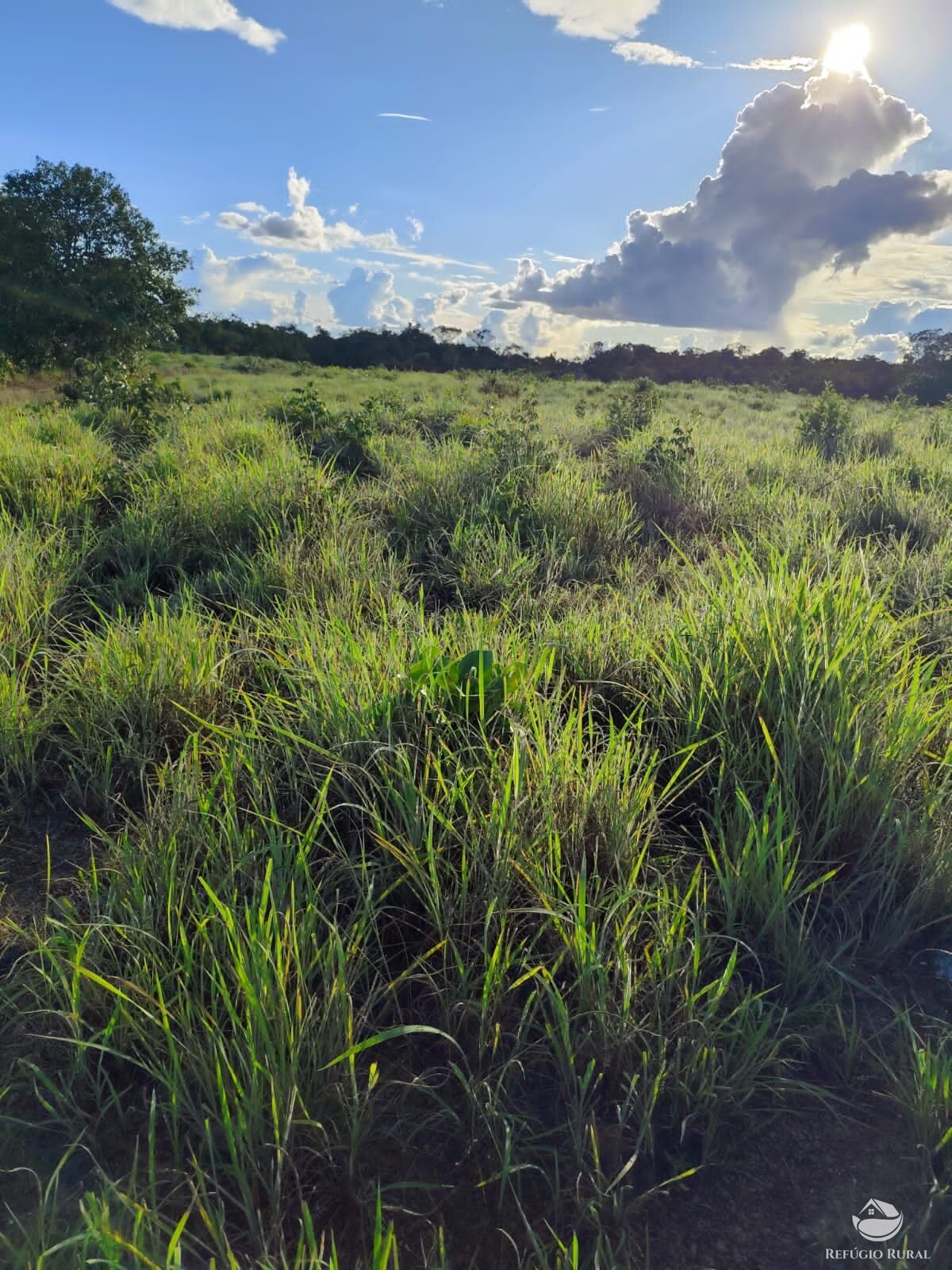 Fazenda à venda com 2 quartos, 9099200m² - Foto 50