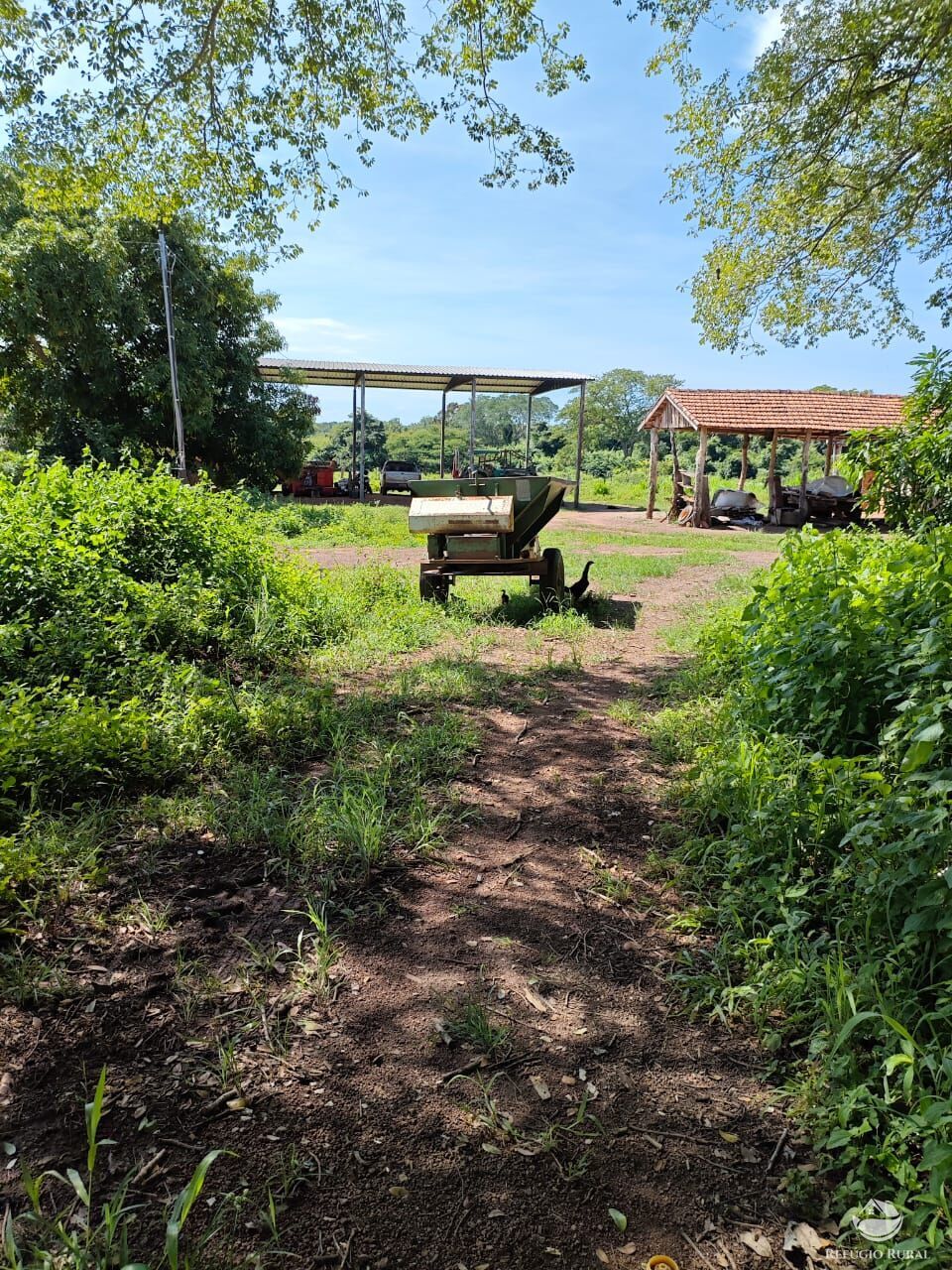 Fazenda à venda com 2 quartos, 9099200m² - Foto 5