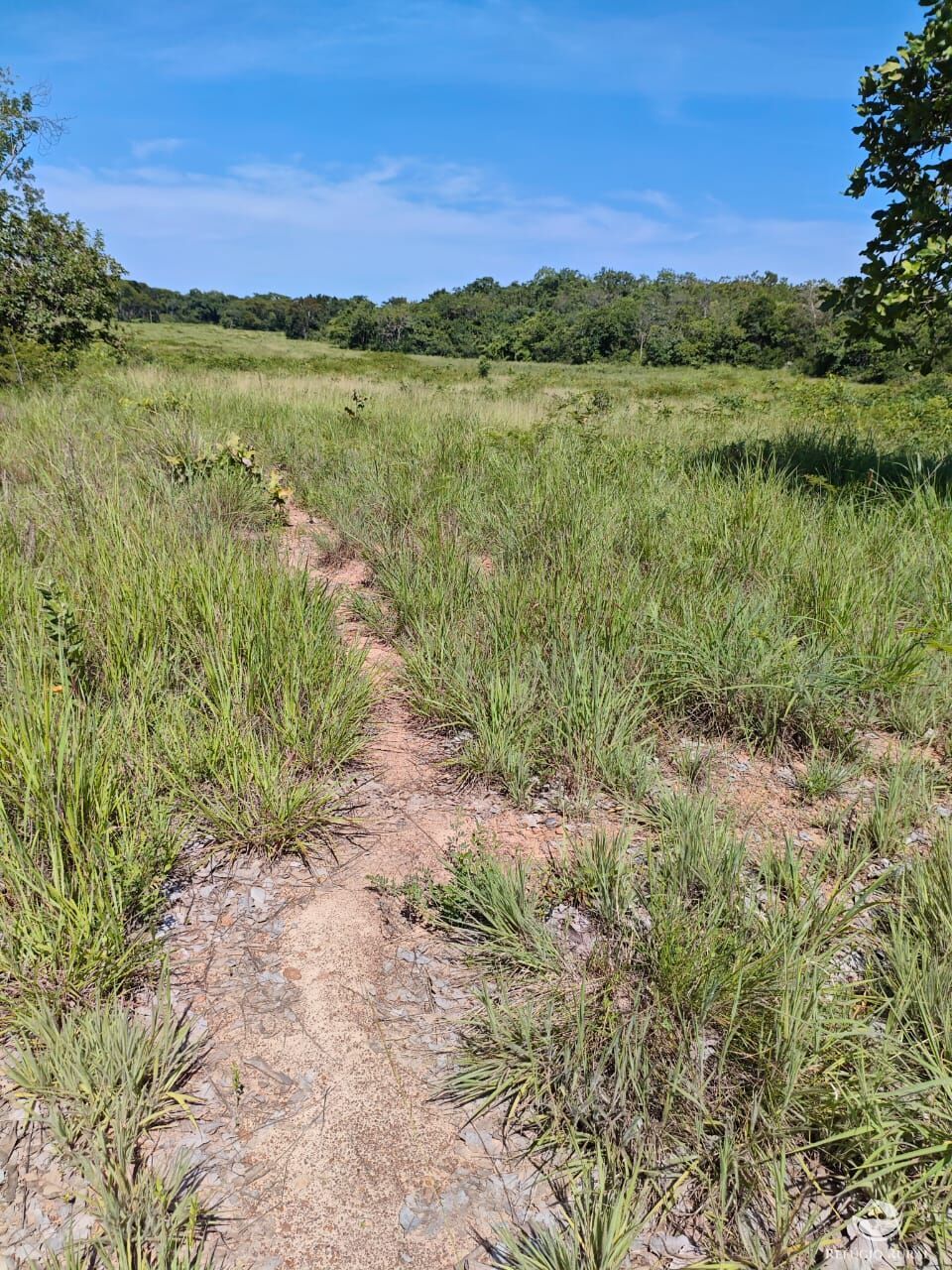 Fazenda à venda com 2 quartos, 9099200m² - Foto 33