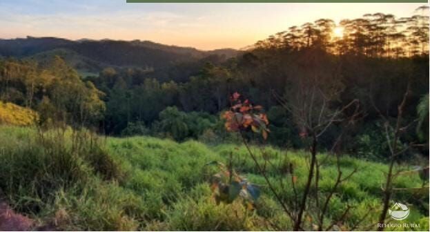 Fazenda, 47 hectares - Foto 2