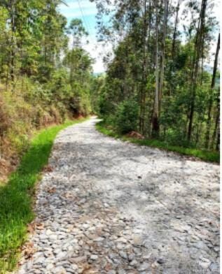 Fazenda, 47 hectares - Foto 3