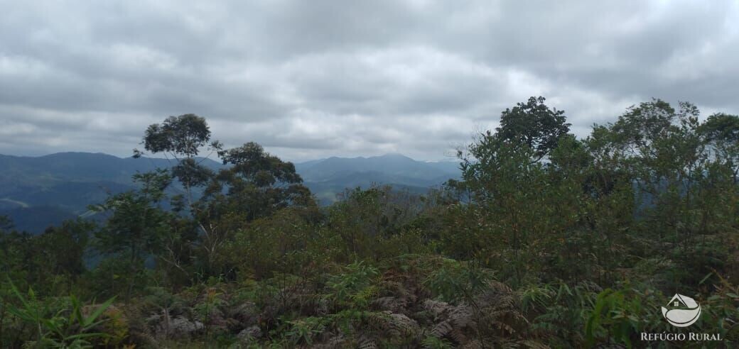 Terreno à venda, 20000m² - Foto 2