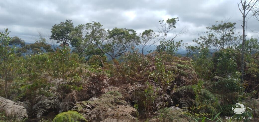 Terreno à venda, 20000m² - Foto 4