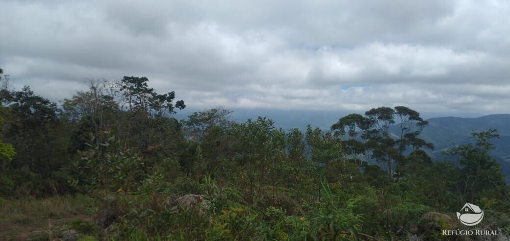 Terreno à venda, 20000m² - Foto 5