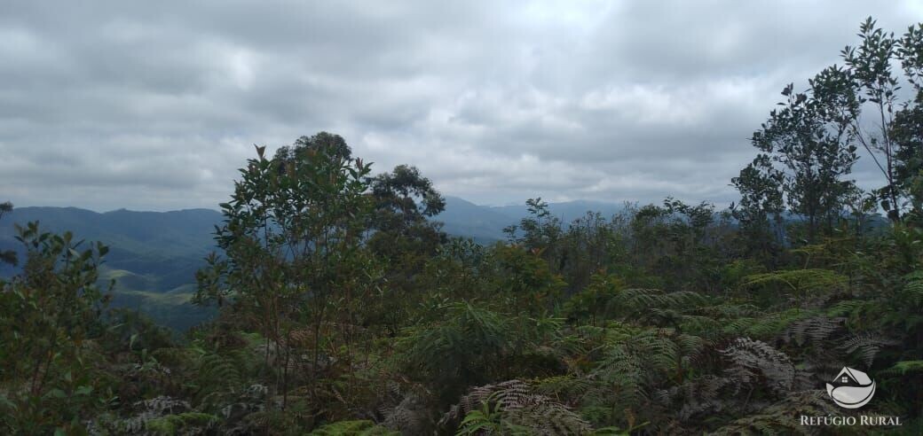 Terreno à venda, 20000m² - Foto 8